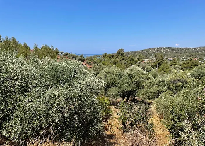 Ktima Anna Διαμέρισμα Αστρίδα