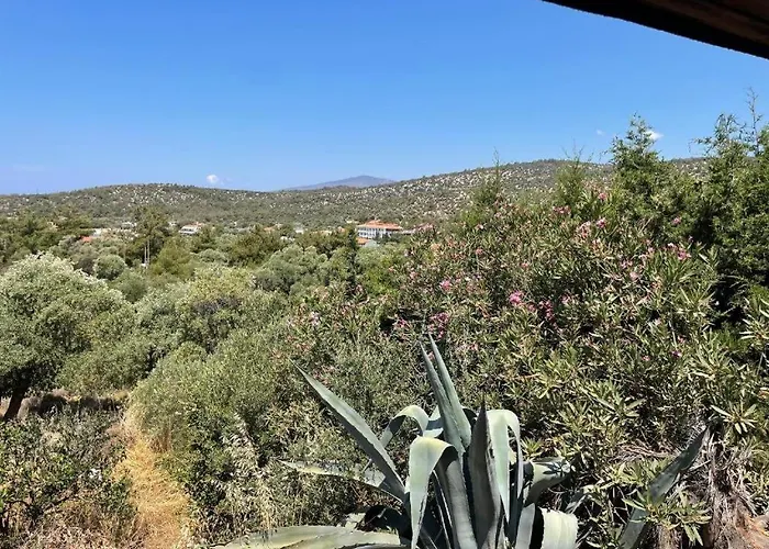 Apartament Ktima Anna *